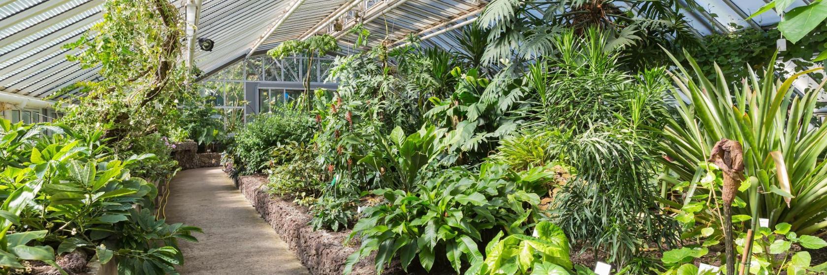 Botanischer Garten und Botanisches Museum